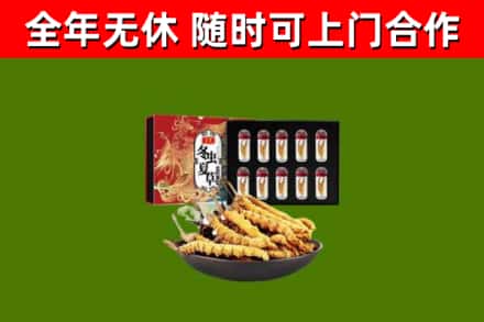 达拉特旗回收冬虫夏草价格