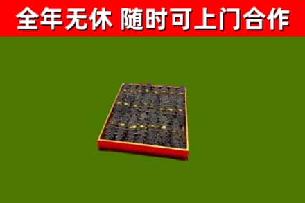 达拉特旗回收海参